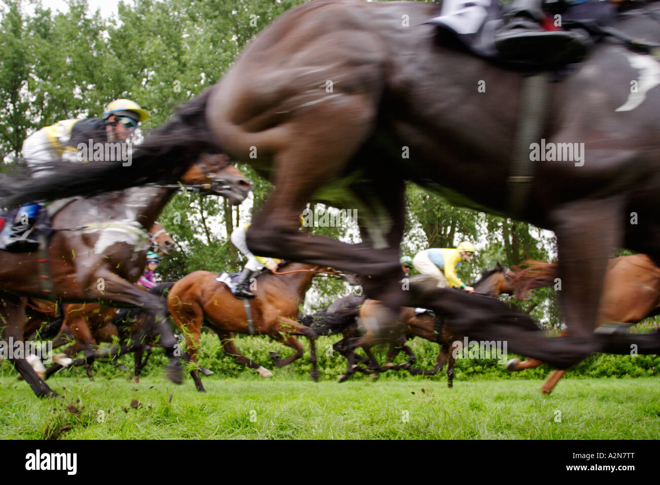 Jockeys riding horses in race Stock Photo Alamy