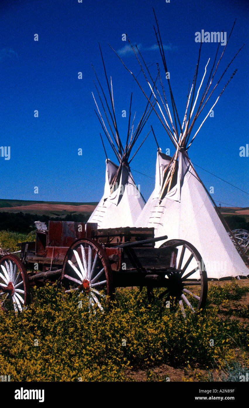 Tepees and horse cart Montana USA Stock Photo