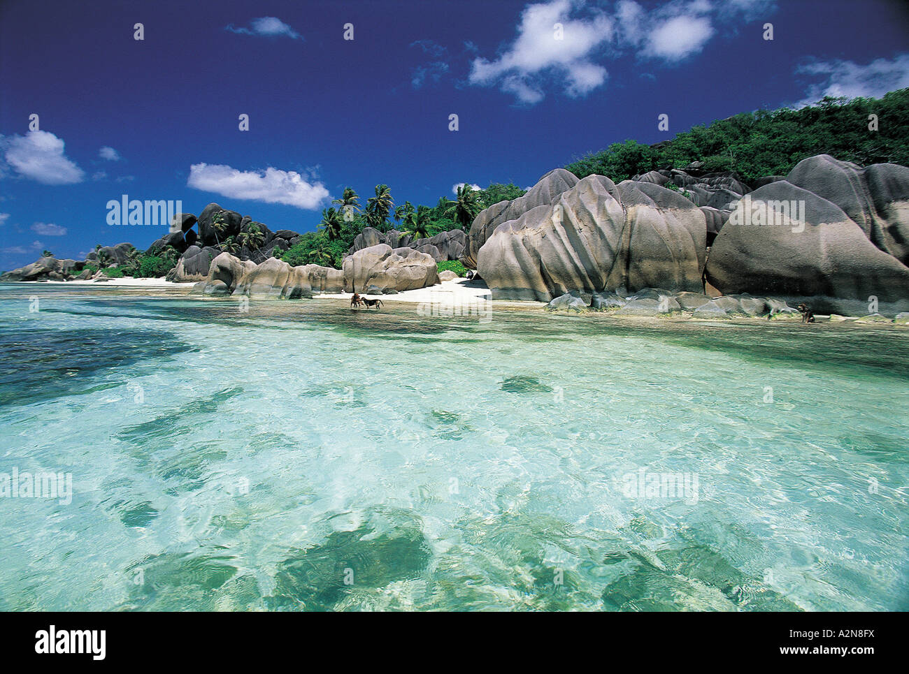 Rocks at seaside Stock Photo - Alamy