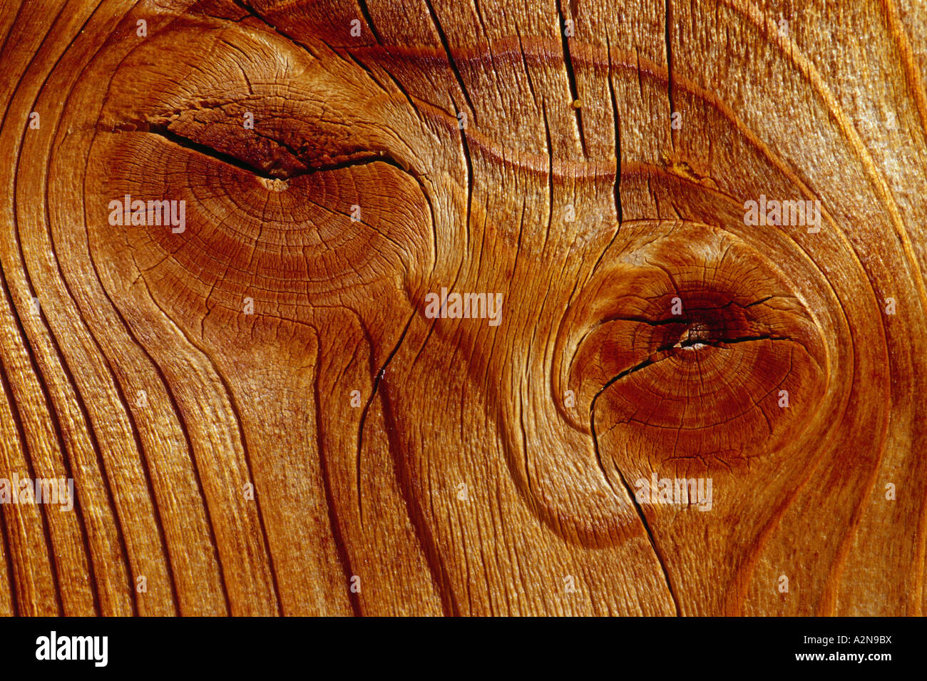 Close-up of wood grain Stock Photo - Alamy