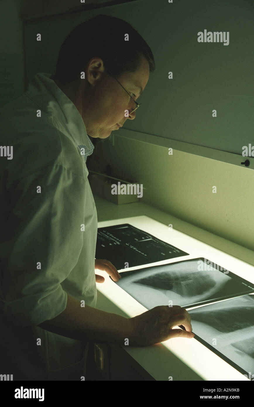 Doctor doing an X-Ray Stock Photo