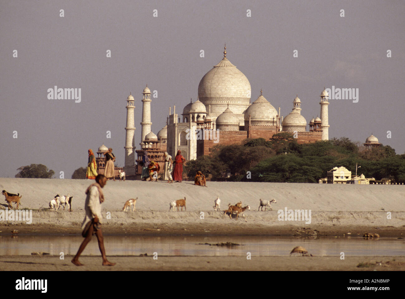 People and animals on river in front of Taj Mahal, Agra, India Stock Photo - Alamy People and animals on river in front of Taj Mahal, Agra, India Stock Photo - Alamy