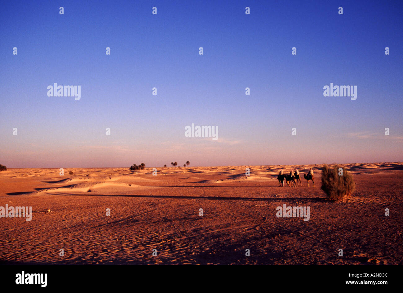 LONELIEST PLACES 01 the sahara desert tunisia africa THIS IS 1 OF 2 SIMILAR PICS AND 1 OF 200 TOTAL PICS Stock Photo