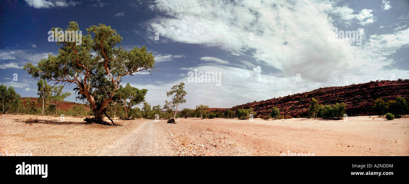 Landscape trees and trees hi-res stock photography and images - Alamy