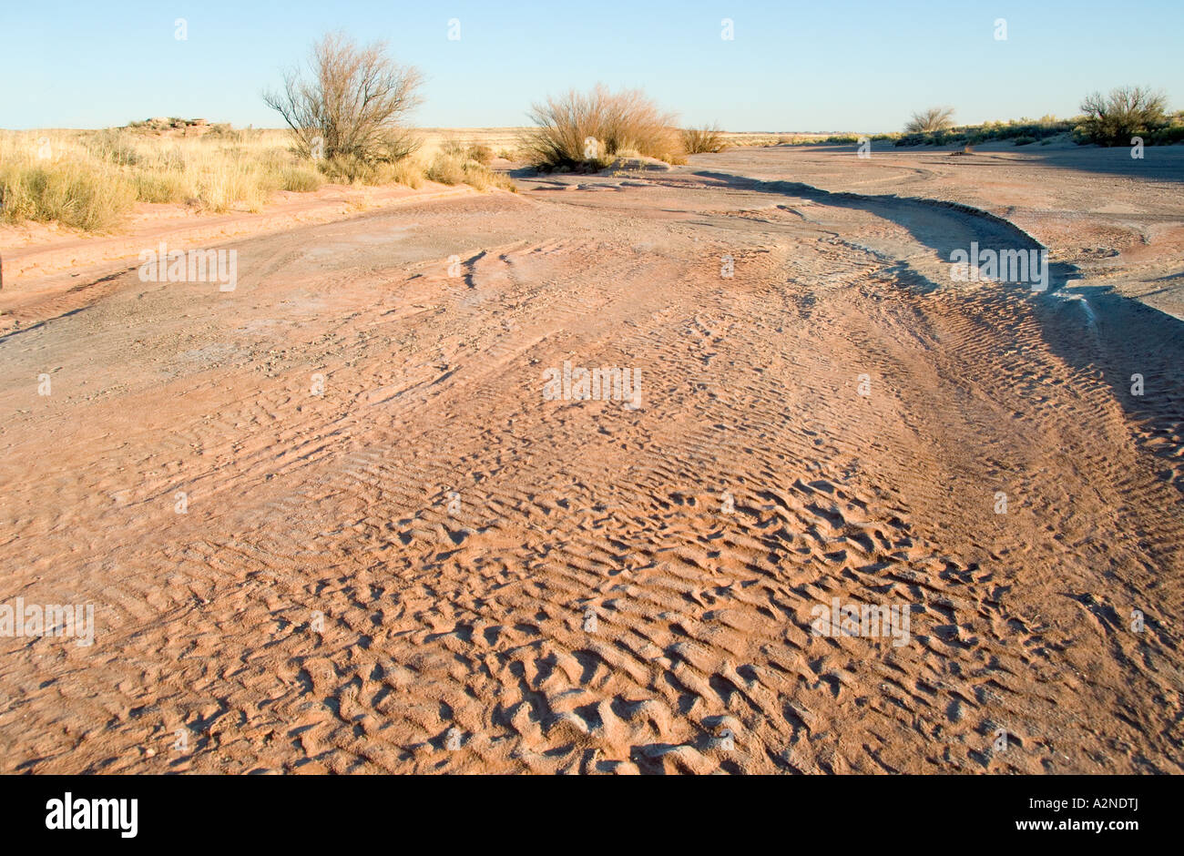Dead Creek wash, Arizona 1 Stock Photo Alamy
