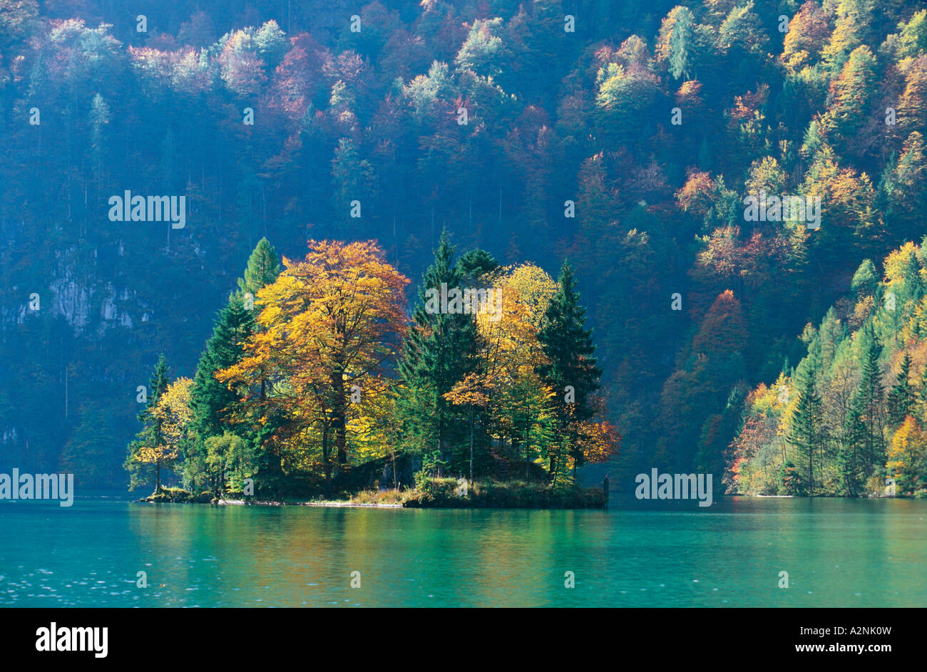 Trees on small island in lake, Konigssee, Berchtesgaden, Bavaria, Germany Stock Photo