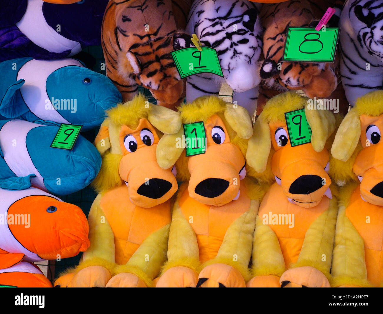 Cuddly toy dogs prizes at a funfair and carnival Stock Photo Alamy