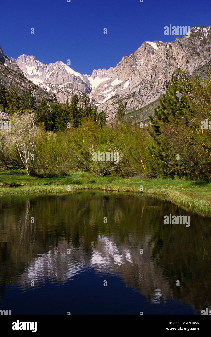 California Sierra Nevada Mountains Palisade Glacier southern most