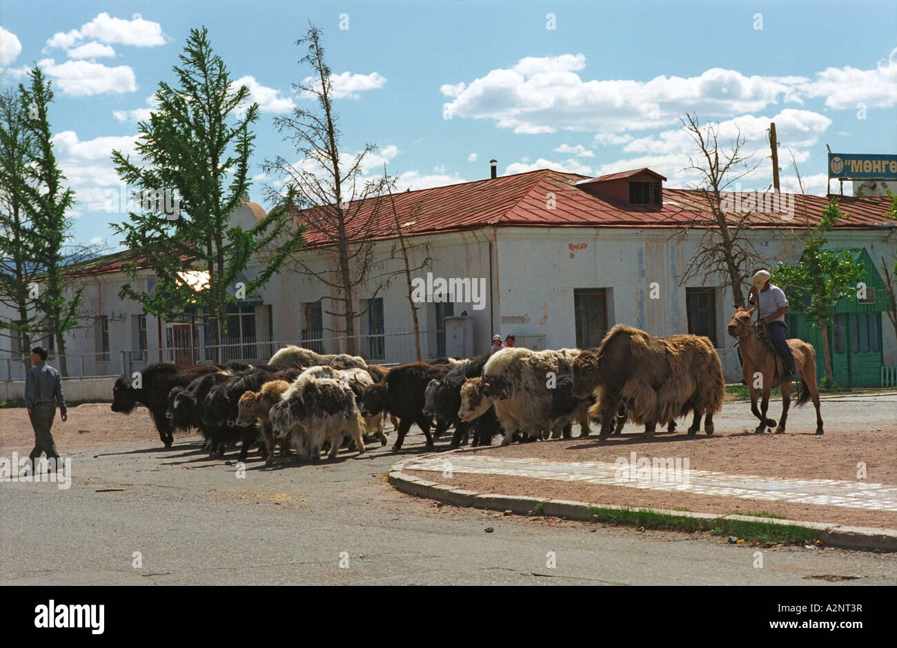 Khovsgol Aimag High Resolution Stock Photography and Images - Alamy