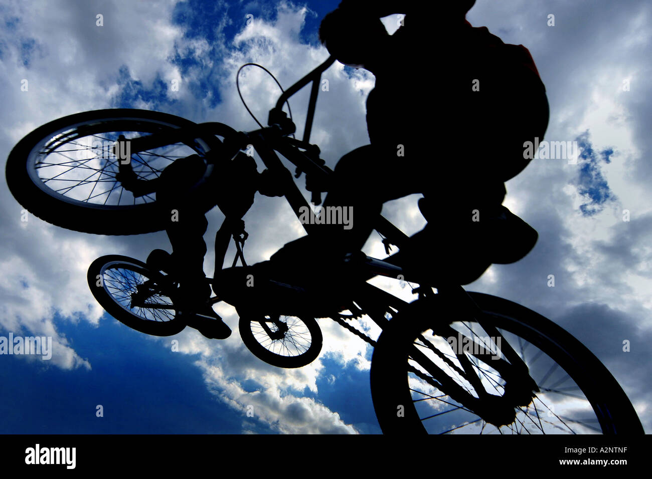 Kids on their bikes at a BMX half pipe track Stock Photo Alamy
