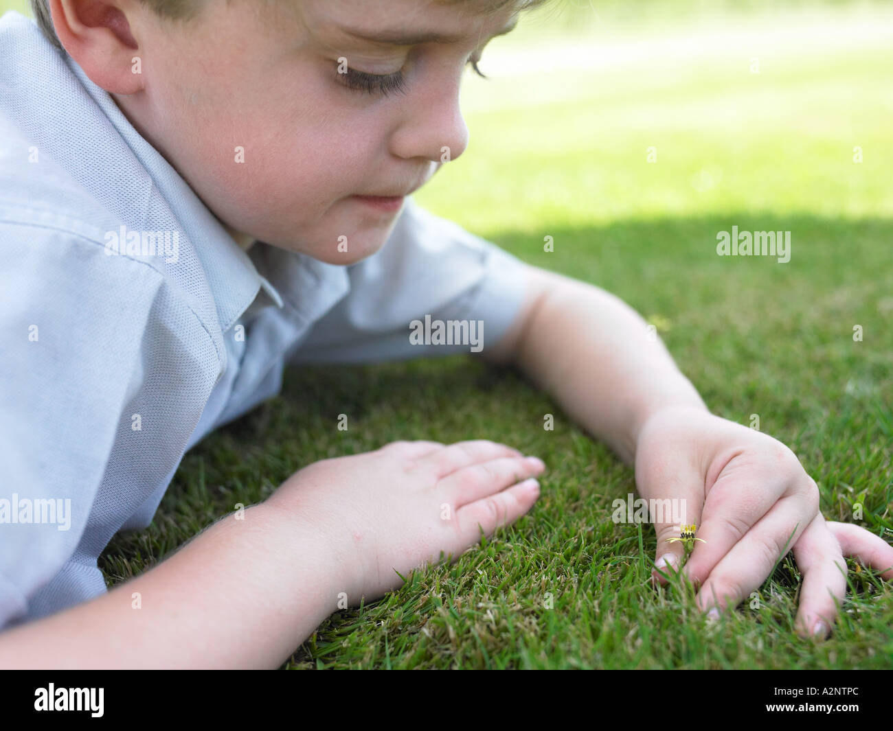 child laying on the glass picking flower Stock Photo