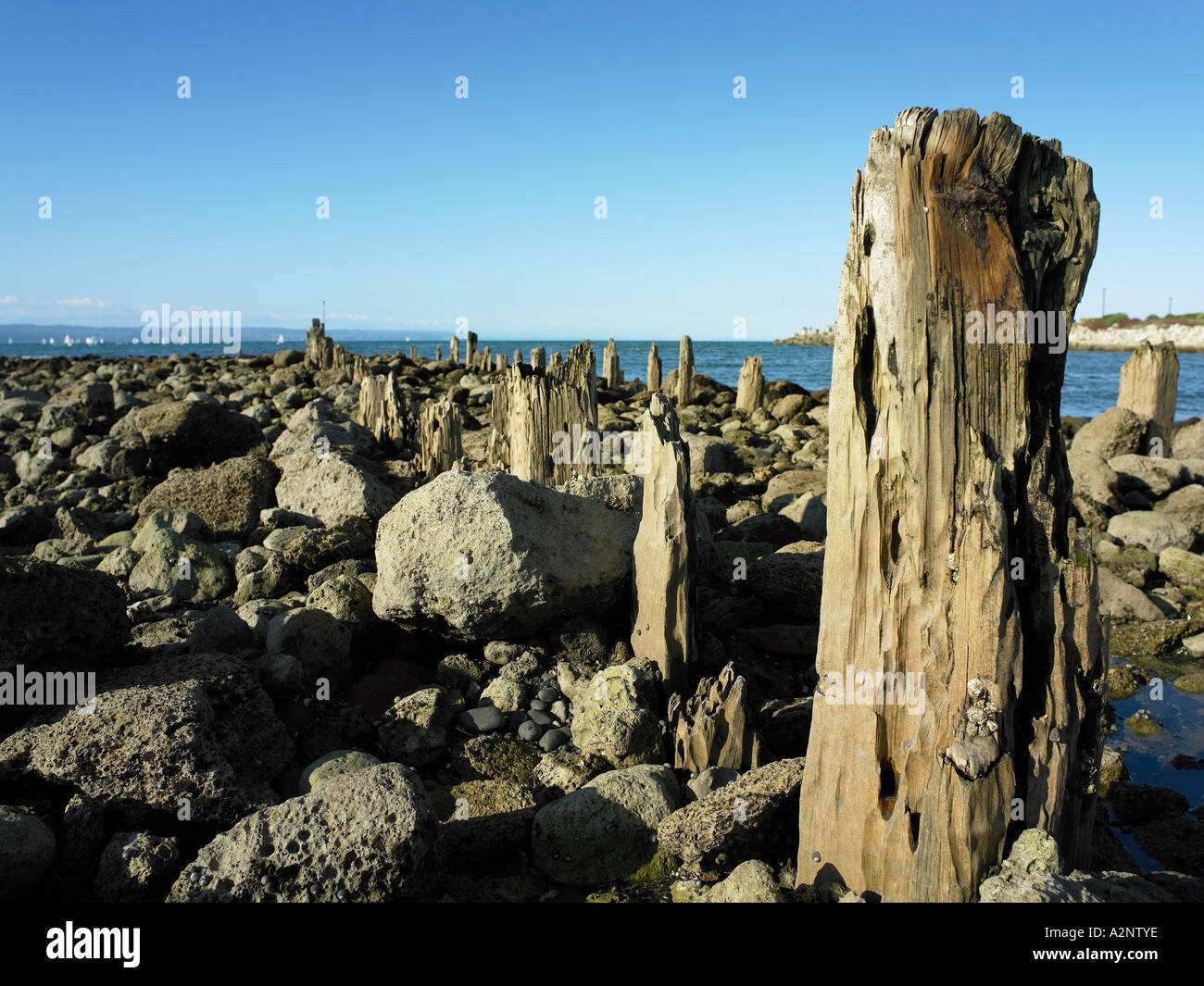 piles at the breakwater at the mouth of ahuriri port napier on a sunny bright summers day Stock Photo