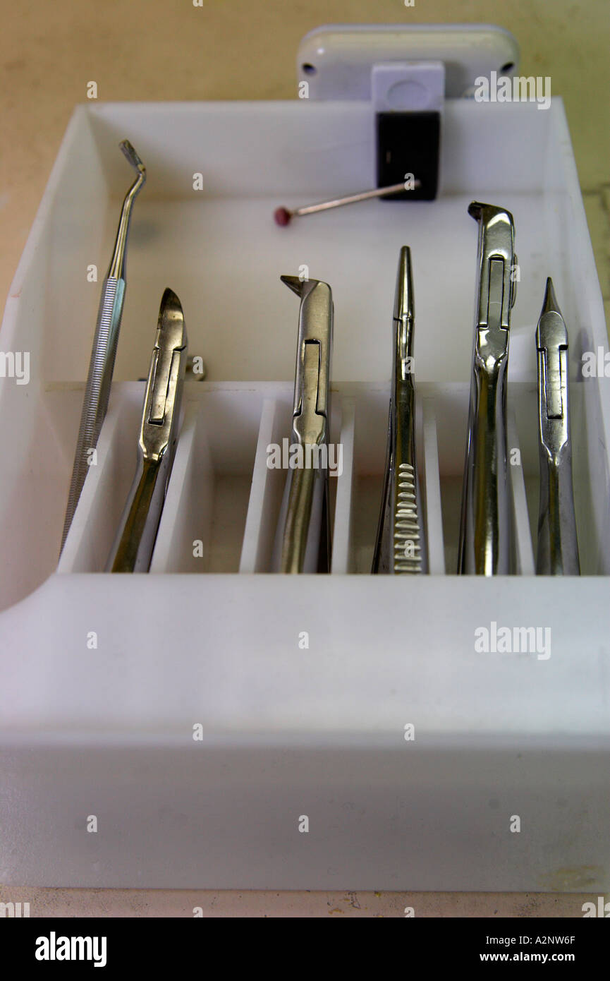 Dental instruments on a tray Stock Photo Alamy