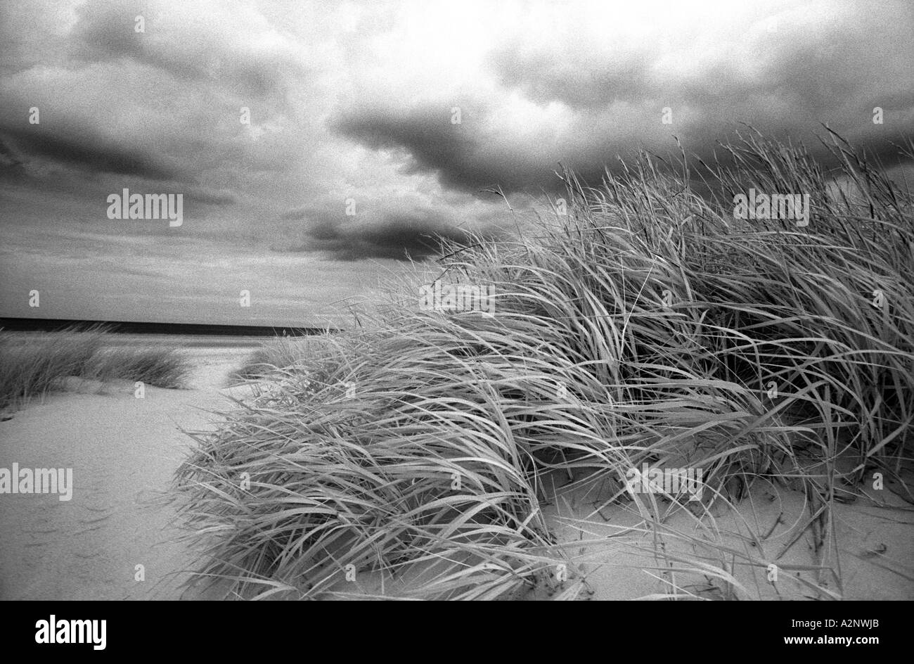 Holkham Beach, North Norfolk. Atmospheric black and white image of ...