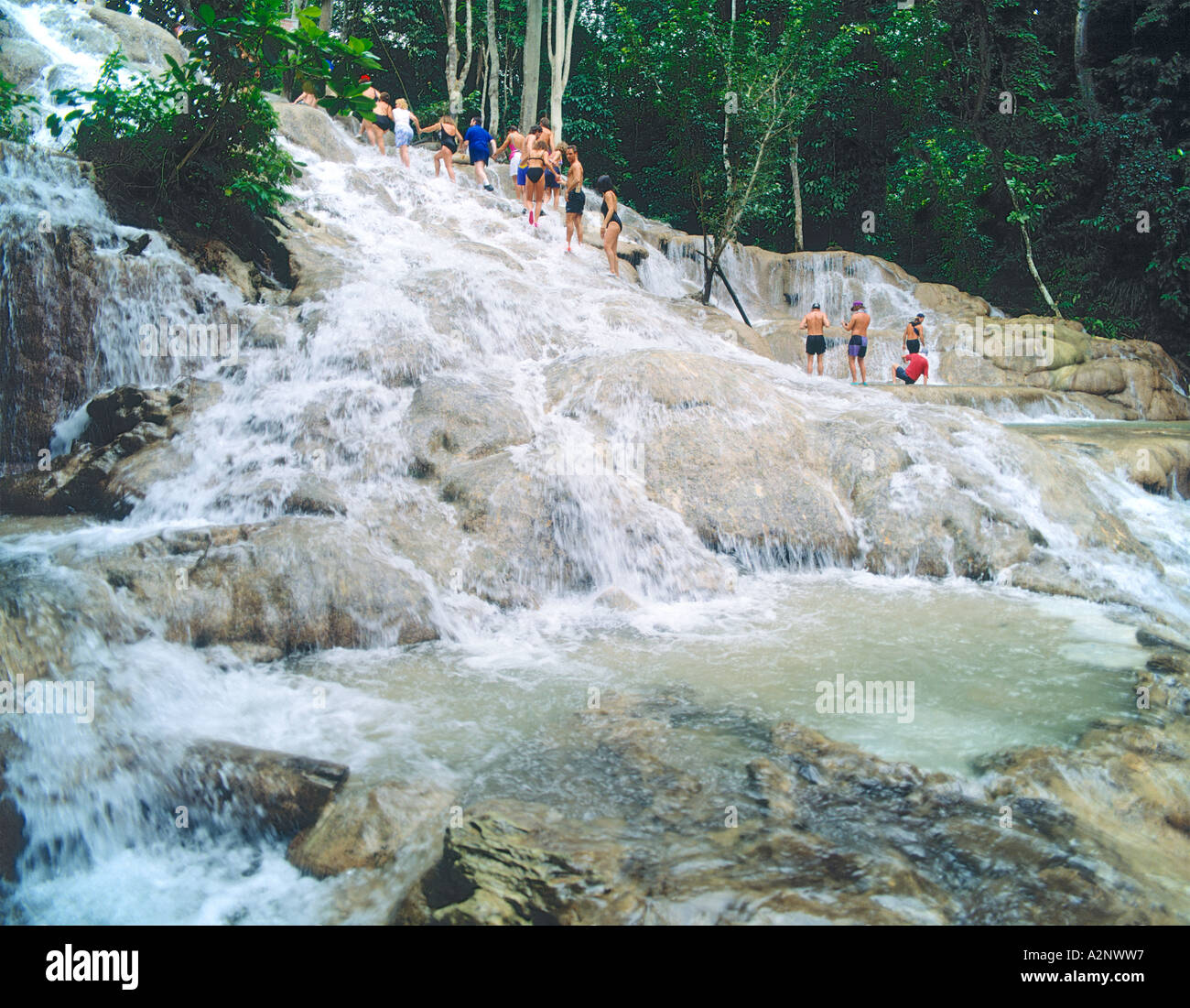 Tourists climbing dunns river falls hi-res stock photography and images