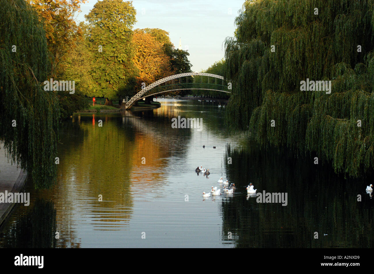 river ouse bedford embankment with suspension bridge Stock Photo