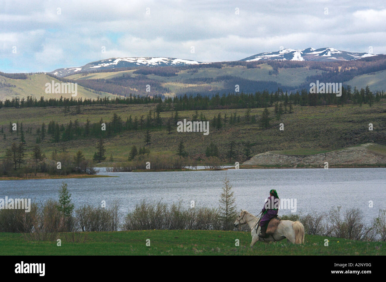 Woman on horseback. Dood Nuur lake and Shishkhid Gol river. Darhadyn Wetland. Khovsgol aimag (province). North Mongolia Stock Photo