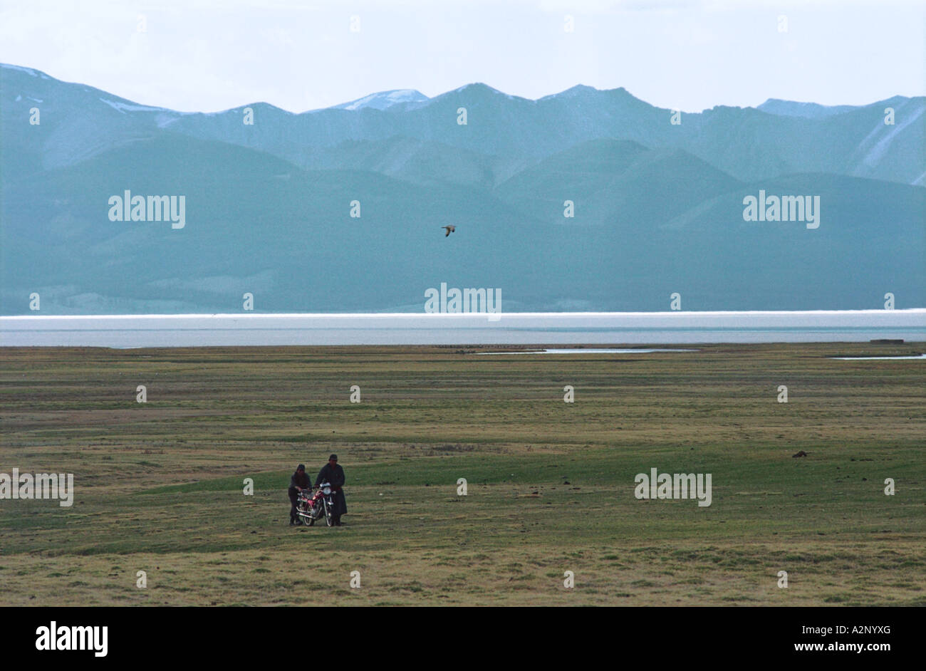 Two men pushing a motorcycle. Khovsgol lake. Khovsgol National Park.  North Mongolia Stock Photo