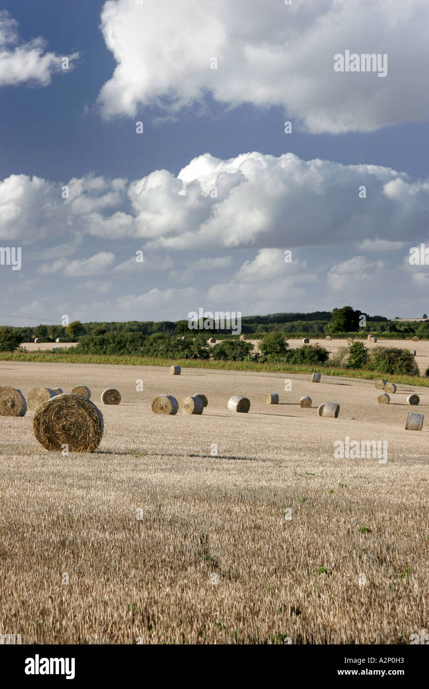 The rolling fields of West Oxfordshire near Burford Stock Photo