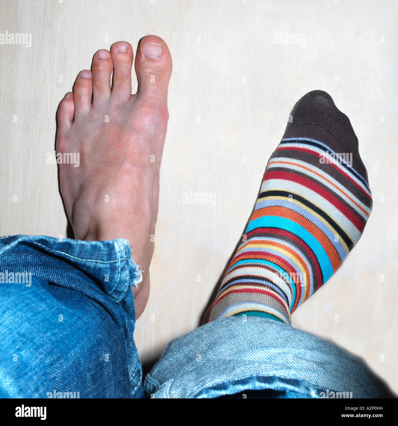 Socks 2024 for one