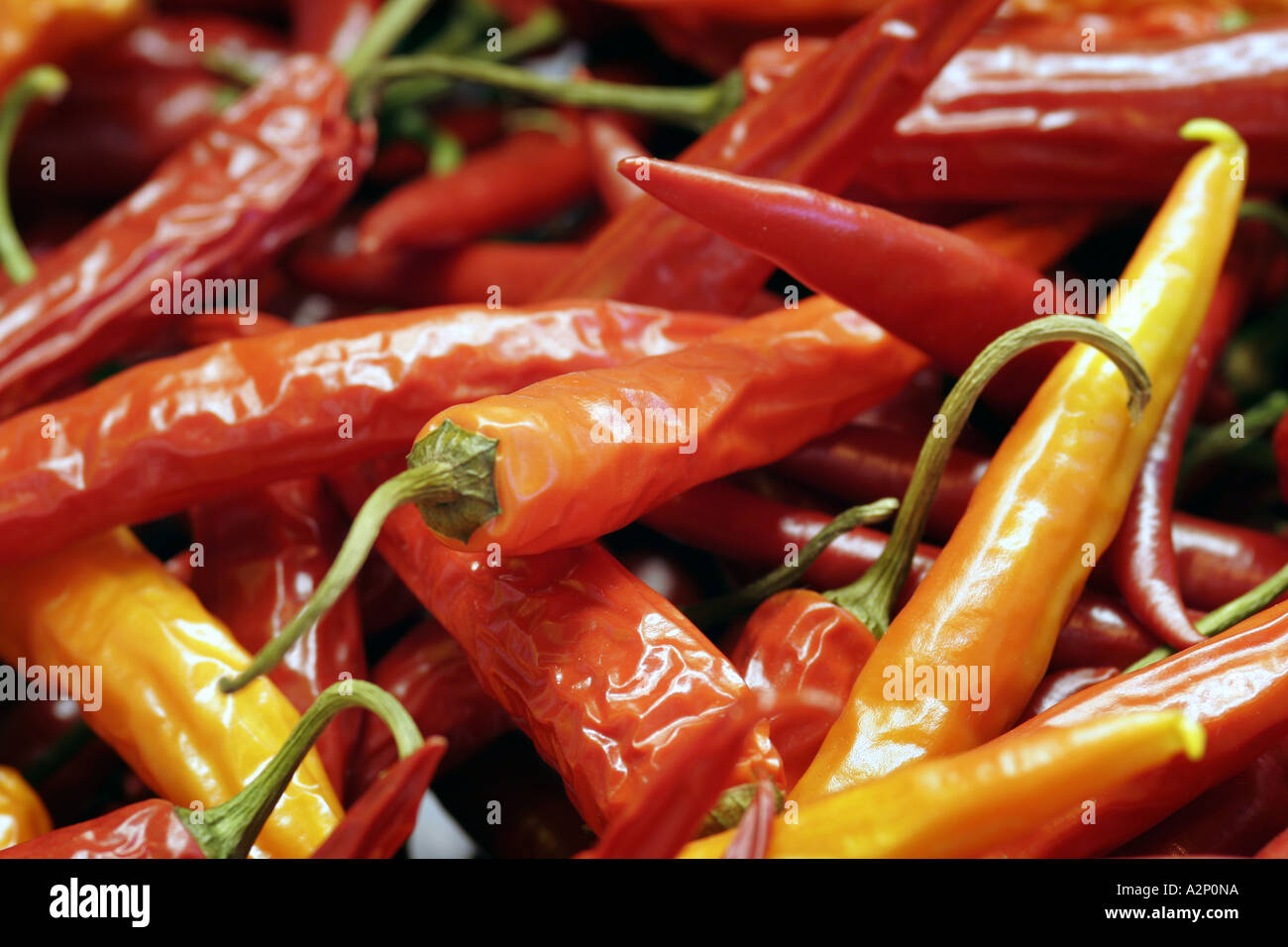 Various chillies hi-res stock photography and images - Alamy