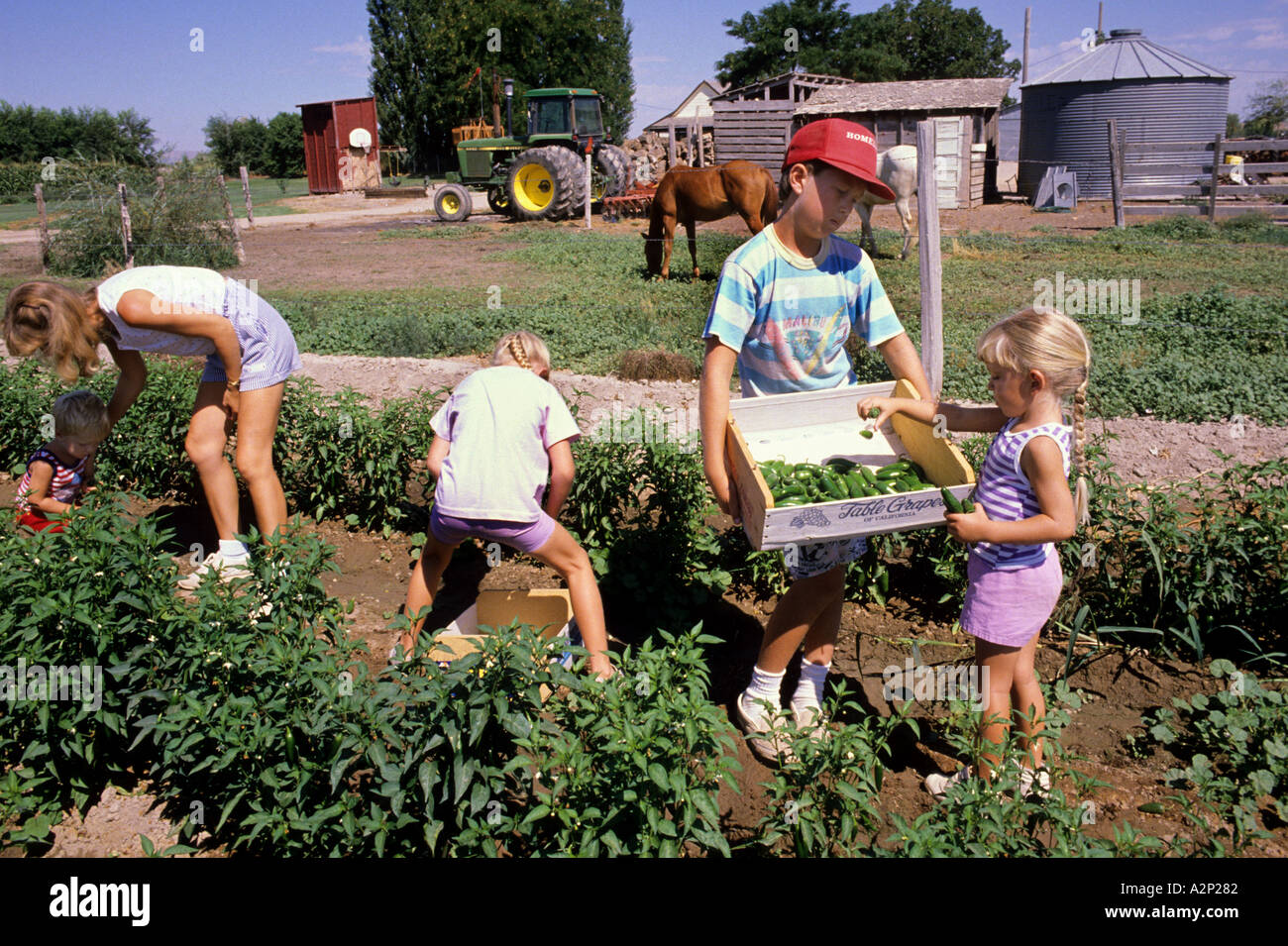 Childe Farming Routine Children on farm chores hi-res stock photography and images - Alamy