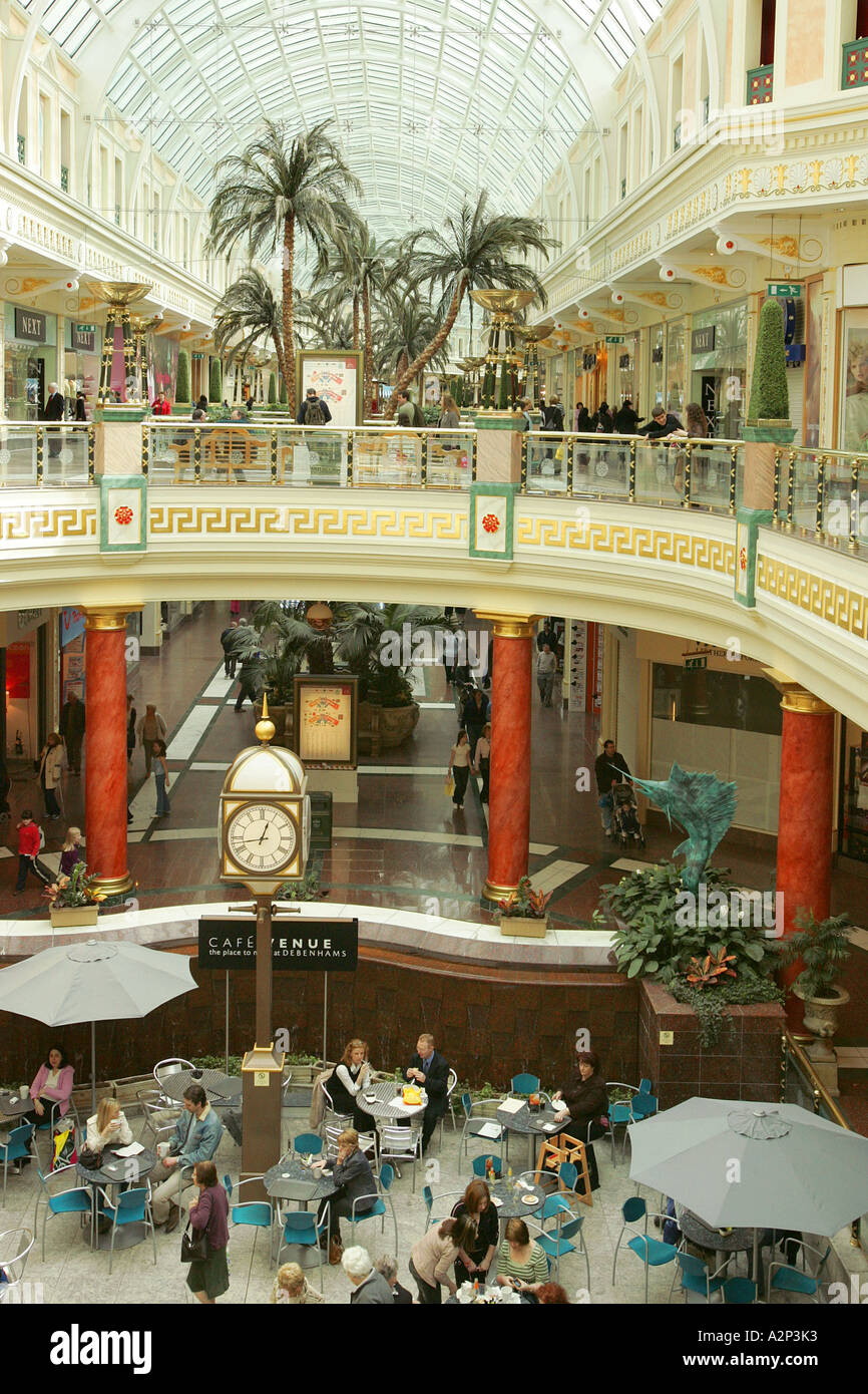 trafford center coffee rest area palm tree shopping friendship shops