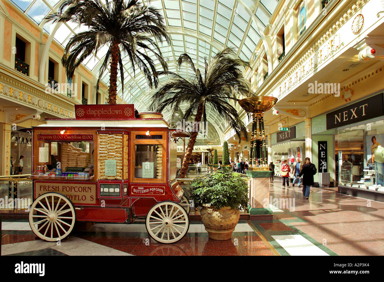 trafford center popcorn shop carriage palm tree shopping friendship