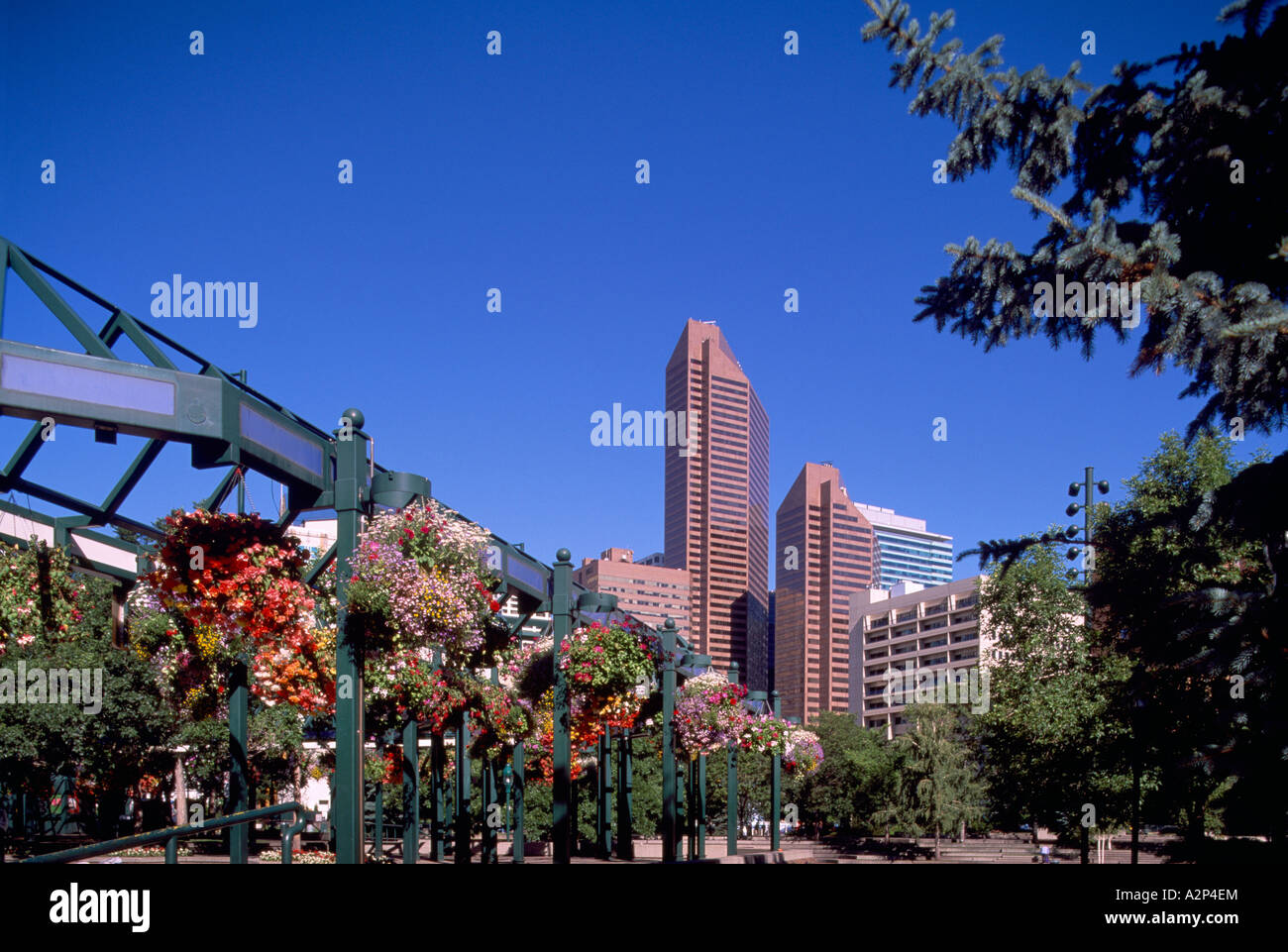 Hanging Flower Baskets at "Rope Square" Downtown in the City of Calgary