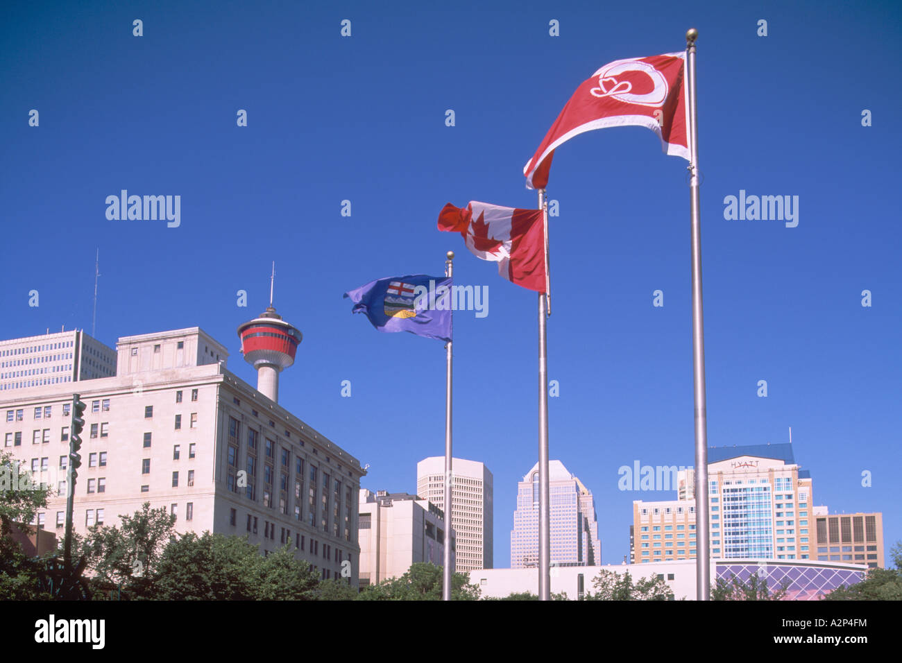 The "Calgary Tower" and Office Buildings Downtown in the City of ...
