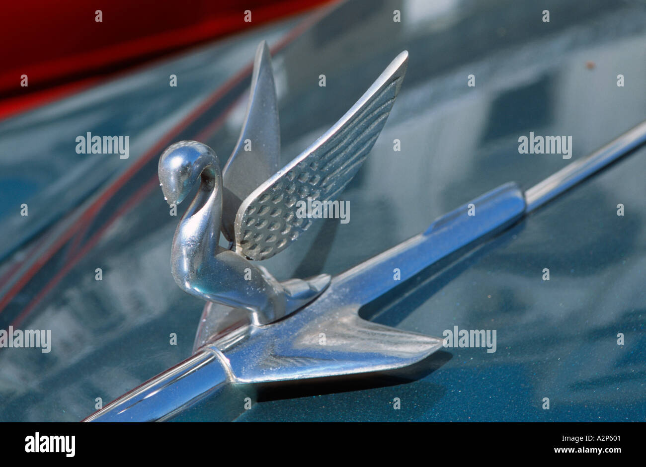 Flying Swan hood ornament on an old American car, Havana, Cuba Stock
