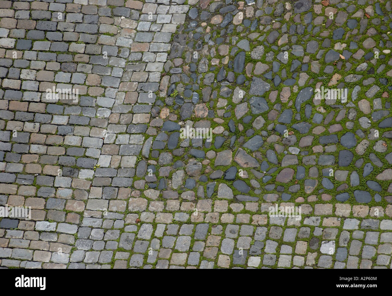 Cobbled street ile de re hi-res stock photography and images - Alamy