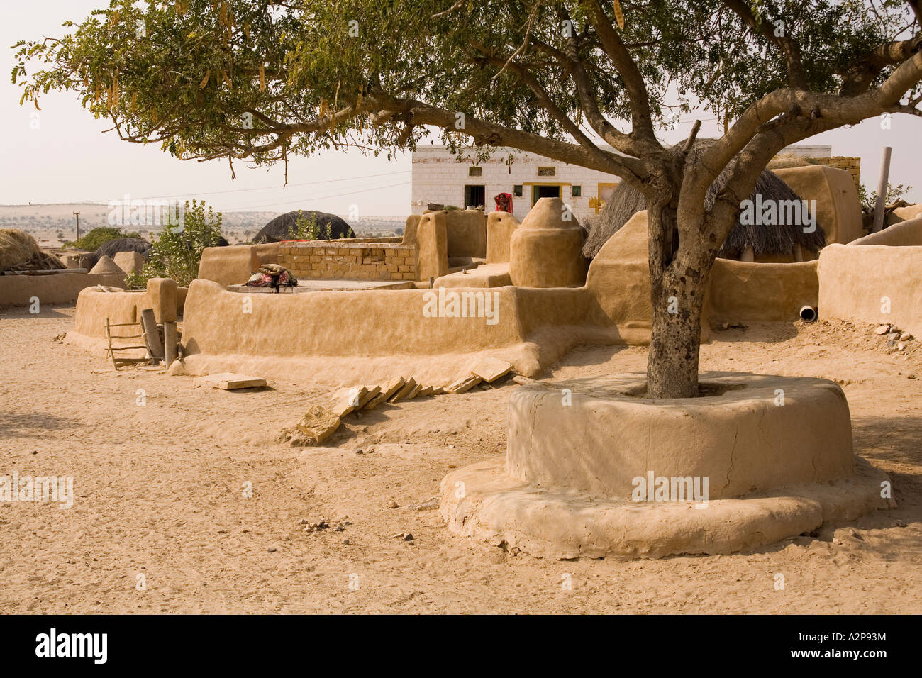 India Rajasthan Thar Desert mud rendered village houses around central tree Stock Photo