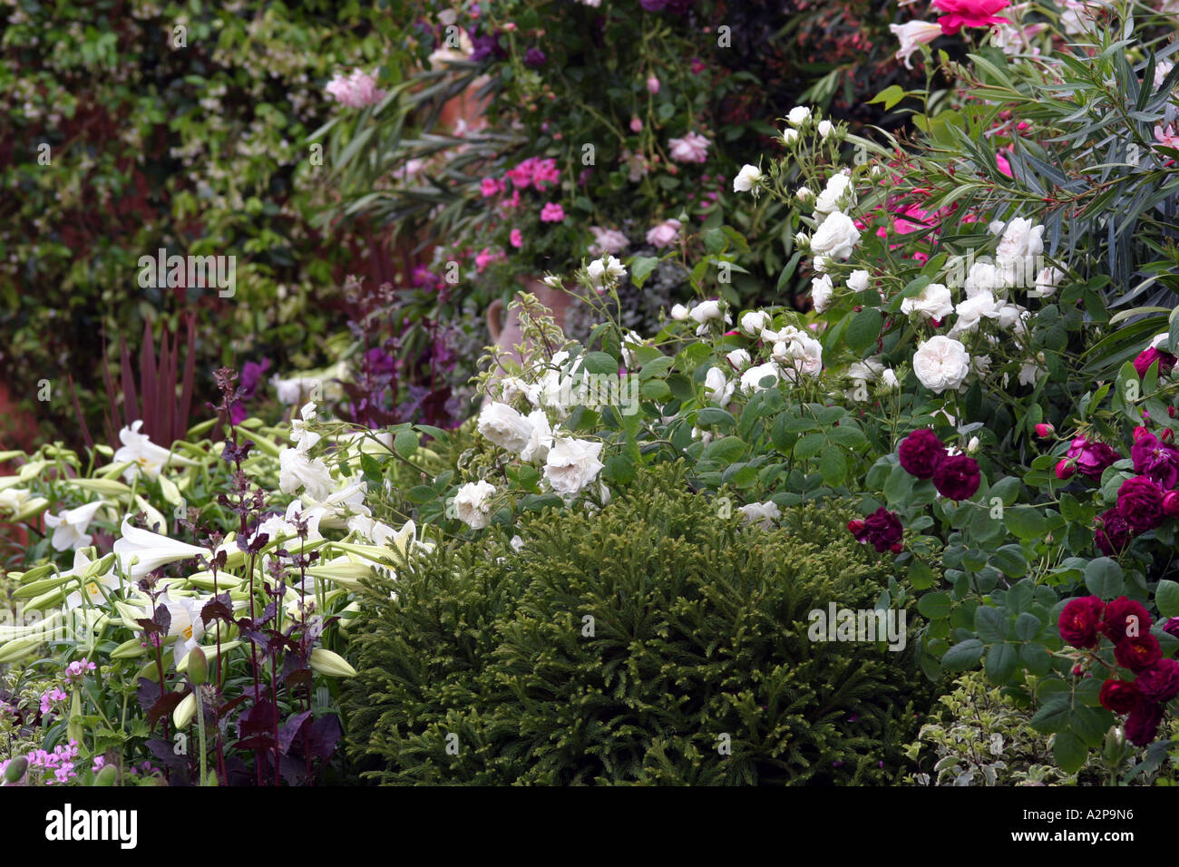 Chelsea Flower Show Exhibition Hi res Stock Photography And Images Alamy