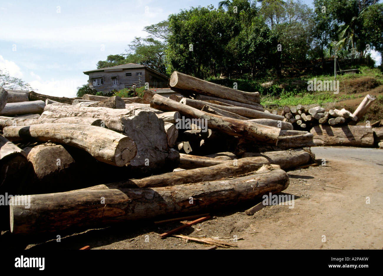 India South Andaman Island Port Blair wood Chatham Sawmill logs awaiting processing Stock Photo