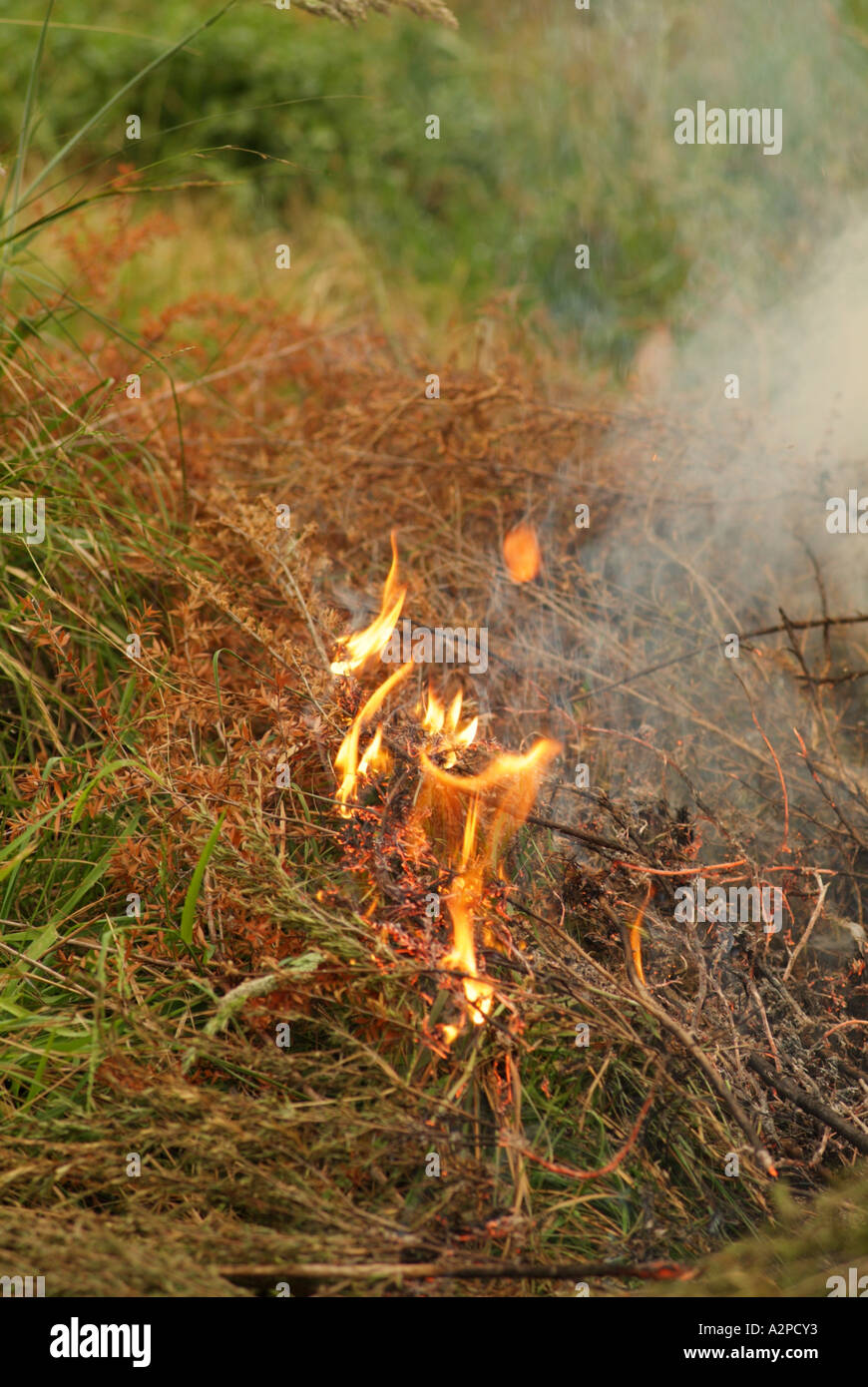 Fire starting in dry tinder fine fuels of grass and sticks Stock Photo