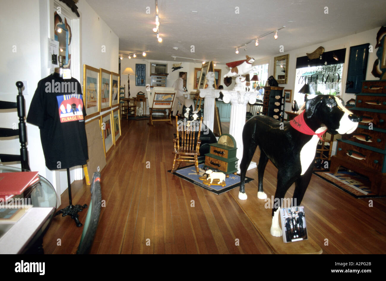Pet shop in Martha's Vineyard Massachusetts USA Stock Photo Alamy