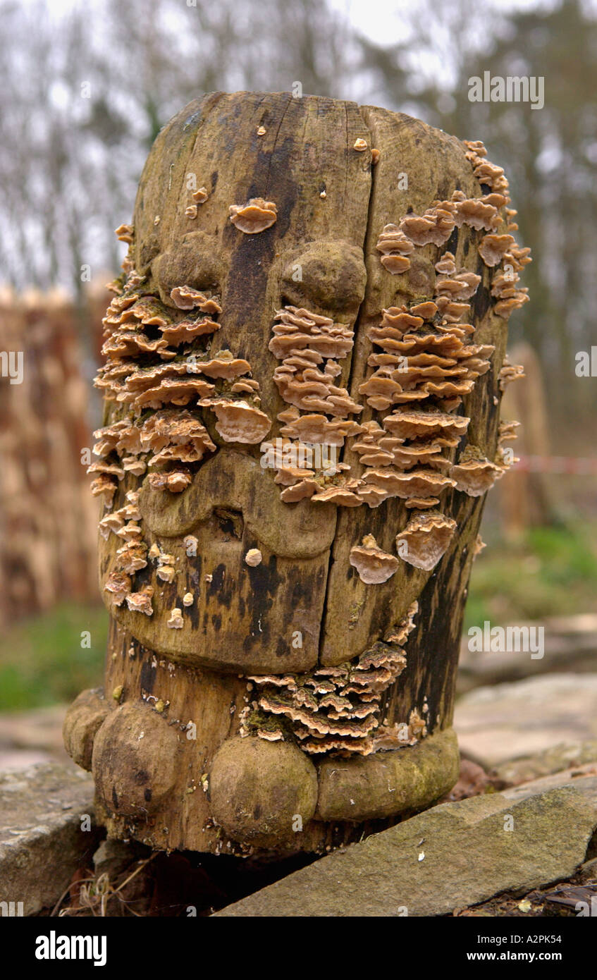 Wooden head carving covered in fungus at The Museum of Welsh Life St Fagans Cardiff Wales UK Stock Photo