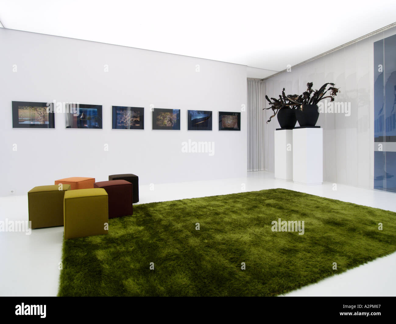 White gallery space with art on the walls green carpet and design cube seats in various colors Stock Photo