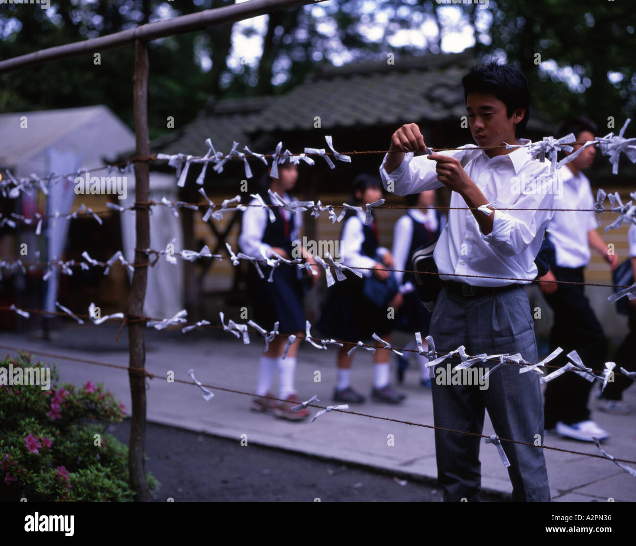 Japanese Junior high Students attaching fortune papers to string outside Kinkakuji temple Stock Photo