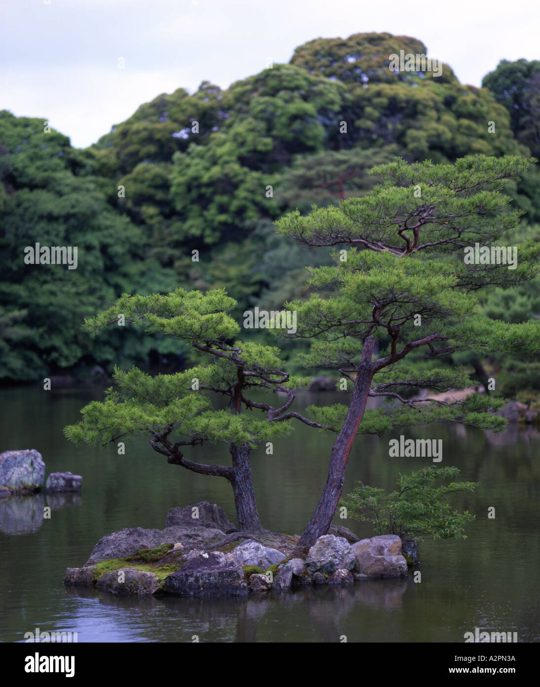 Tranquil landscaped Japanese garden within the grounds of Kinkakuji temple Stock Photo