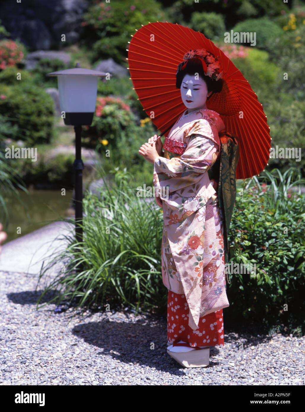 Girl in maiko trainee Geisha costume in Japanese garden of Gion Kyoto  Wearing kimono obi wig parasol makeup lipstick Stock Photo - Alamy