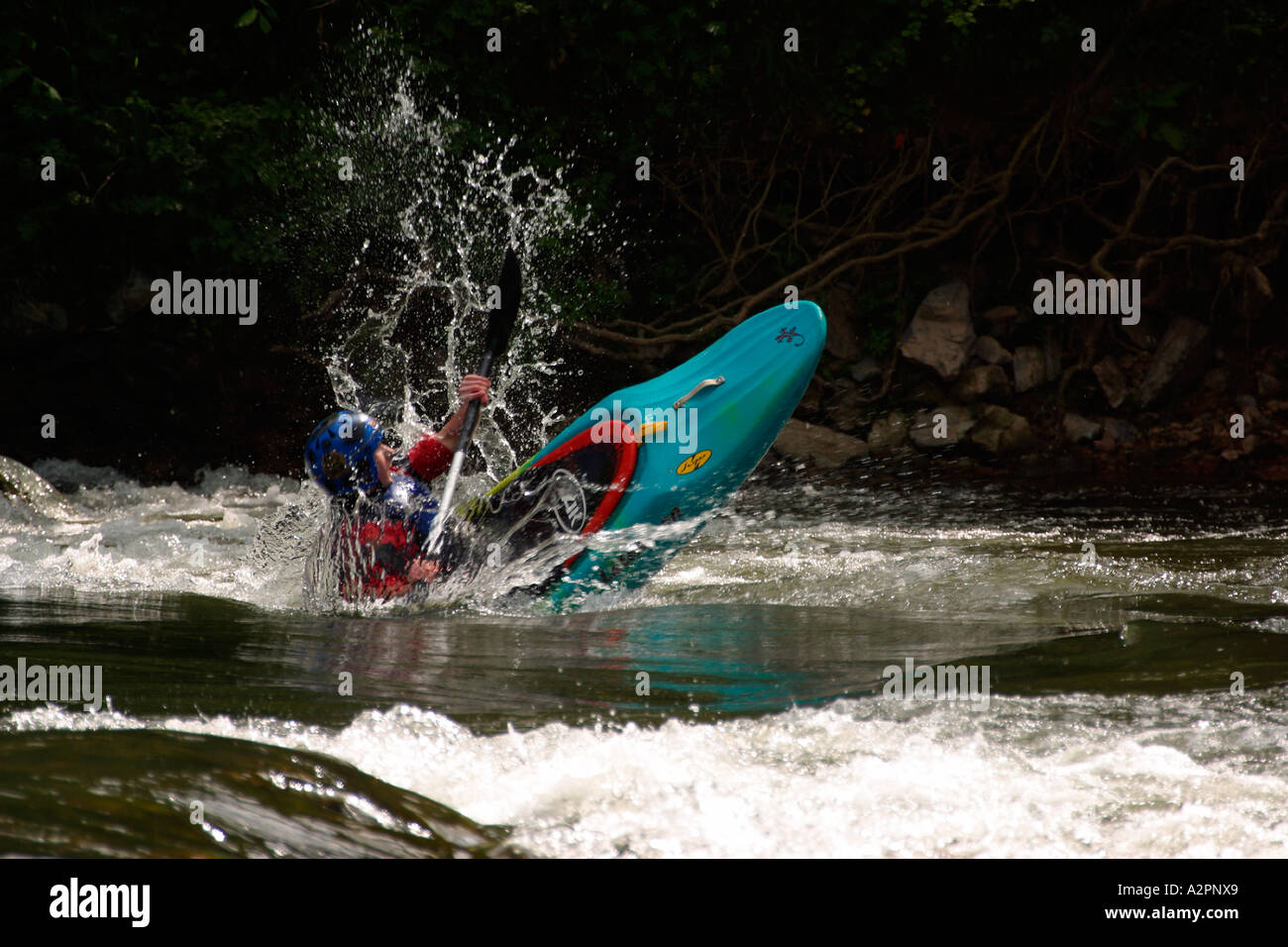 Dynamic Kayaker White water kayaker performing dynamic role in fast flowing river ...