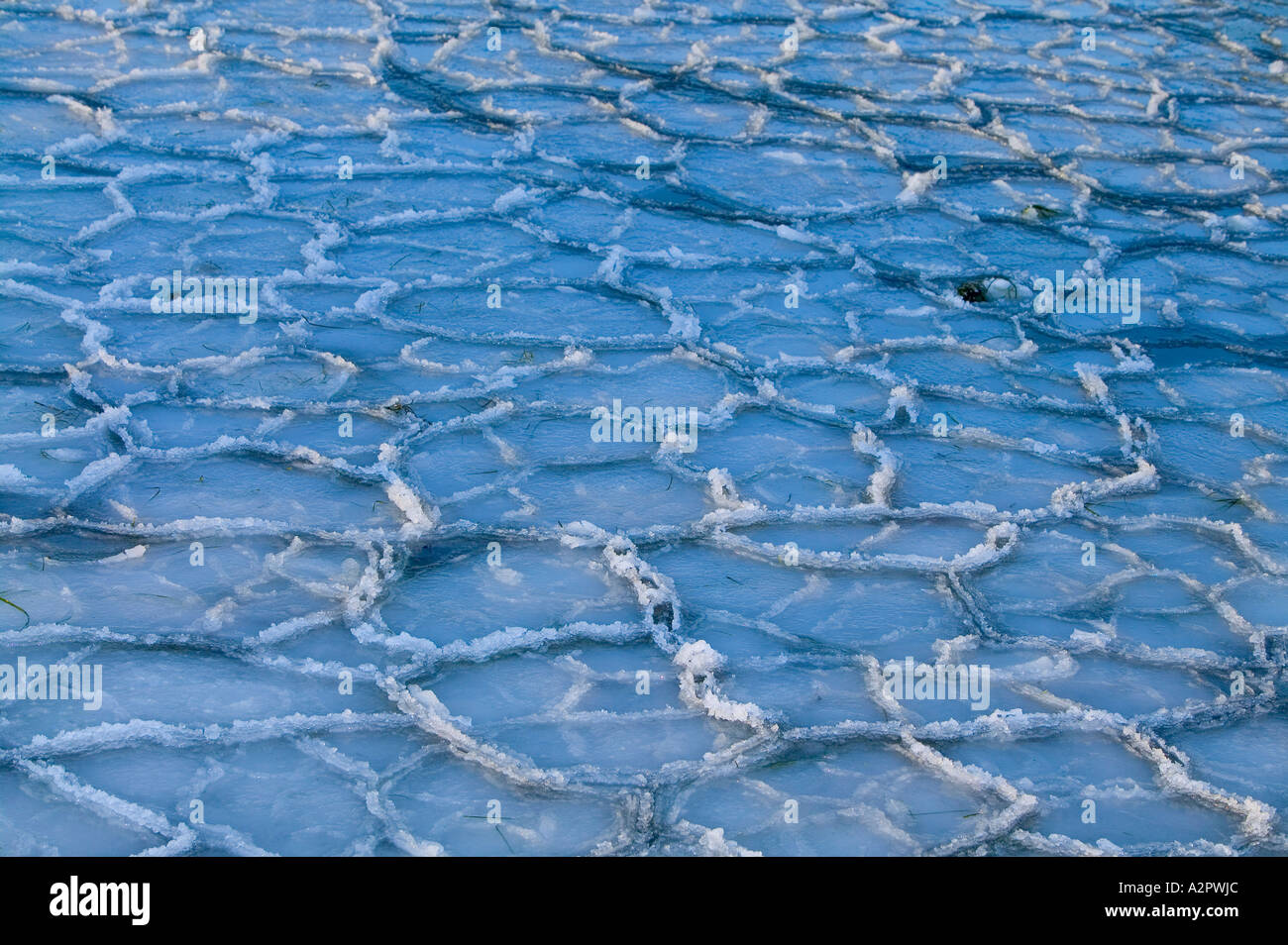 Ice pack Stock Photo