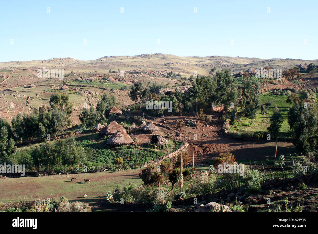 Rural area in the Simien Mountains, Ethiopia Stock Photo
