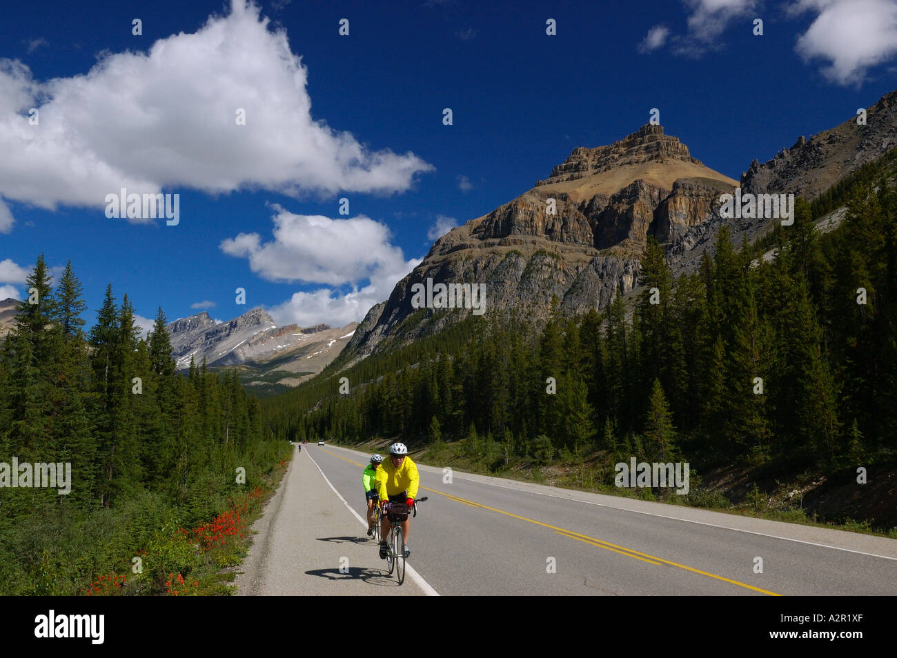 Icefields parkway canada bike hires stock photography and images Alamy