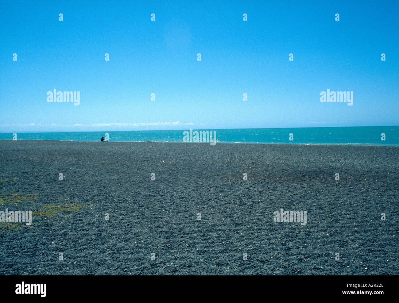 Solitary Man and Pebbles on Napier Beach on the South Pacific Ocean, New Zealand Stock Photo