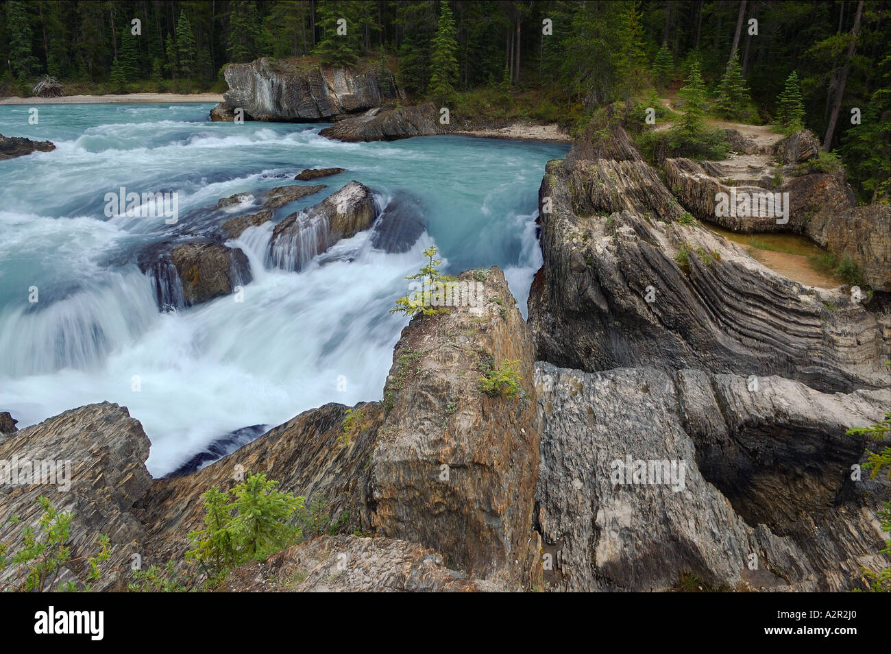 Natural bridge sedimentary rocks on Kicking Horse river Yoho National ...