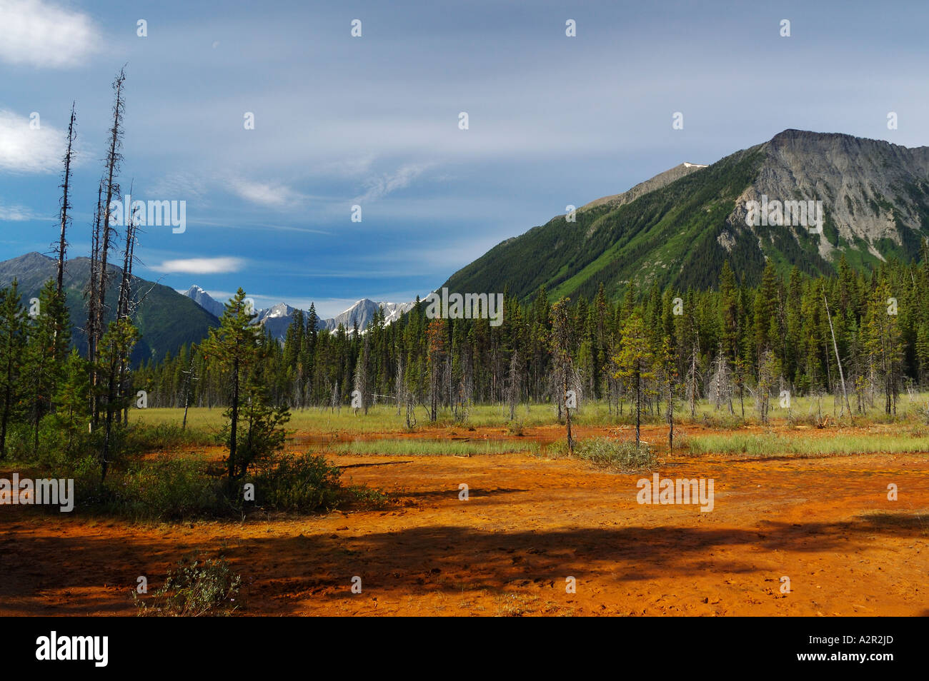 Field of bright orange Ochre pigment at Paint Pots Kootenay National Park Canadian Rocky Mountains British Columbia Canada Stock Photo