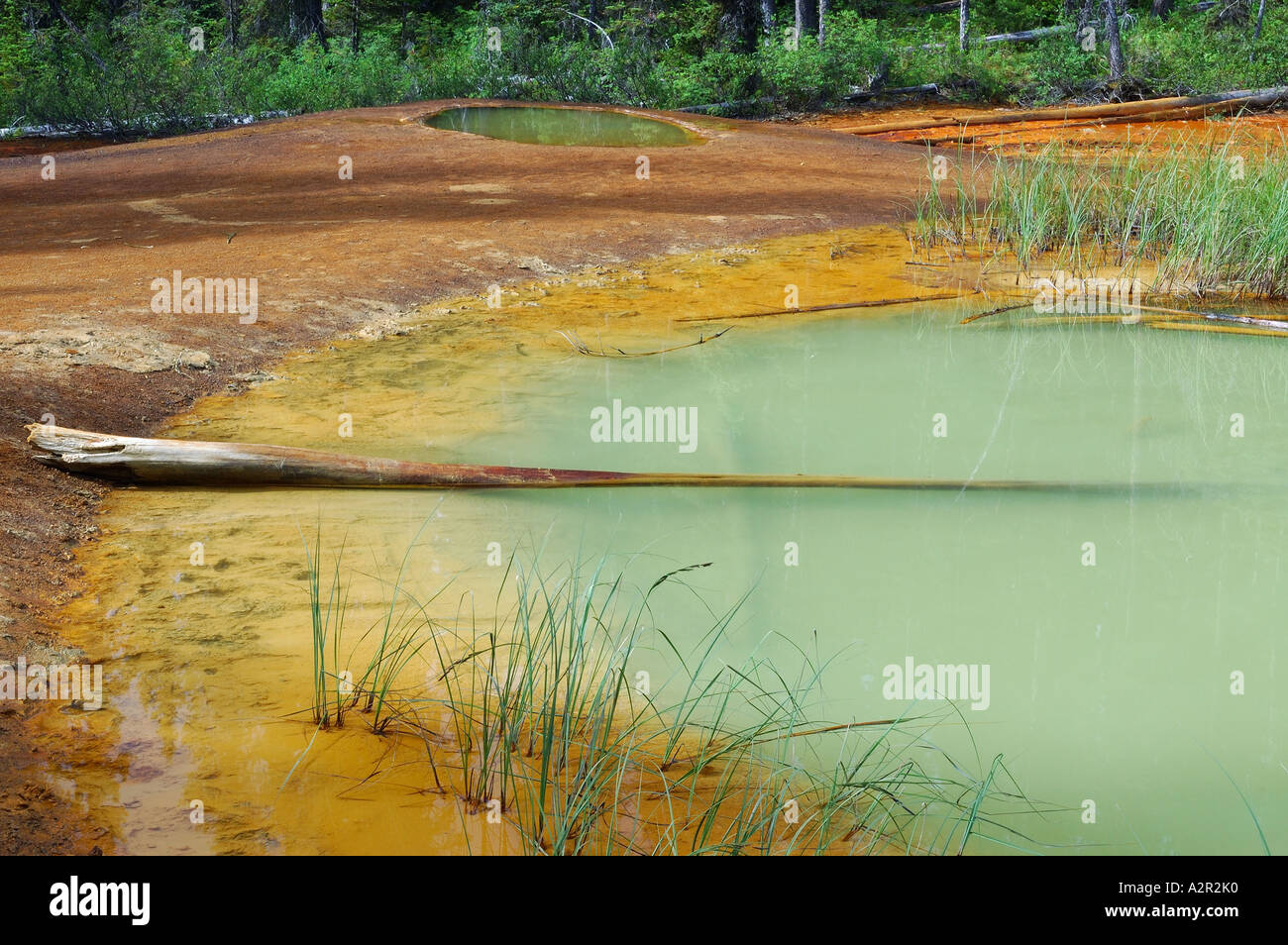 Two ochre paint pot mud ponds in Kootenay National Park BC Canada Stock Photo